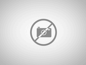 Mochila Adidas + Troyanos UDEM