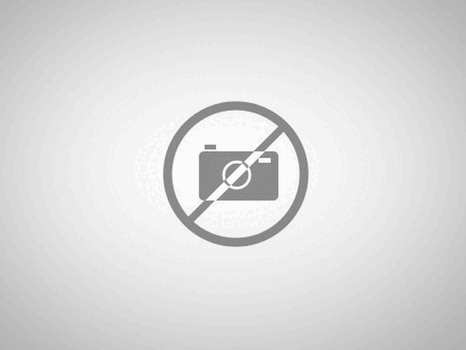 Calcetines Amarillos