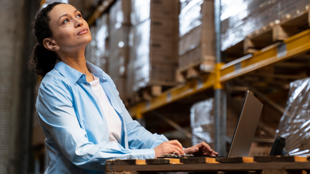 Sistemas de Distribución y Pruebas a Empaques