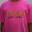 Playera UDEM 1969 Azalea